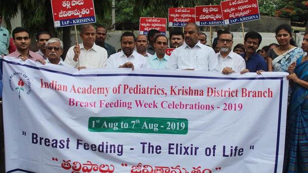 Now, an app to educate mothers about breastfeeding The Hindu