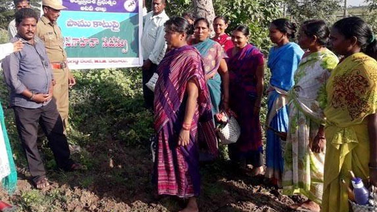 Wildlife authorities swing into action on killing of snakes The Hindu