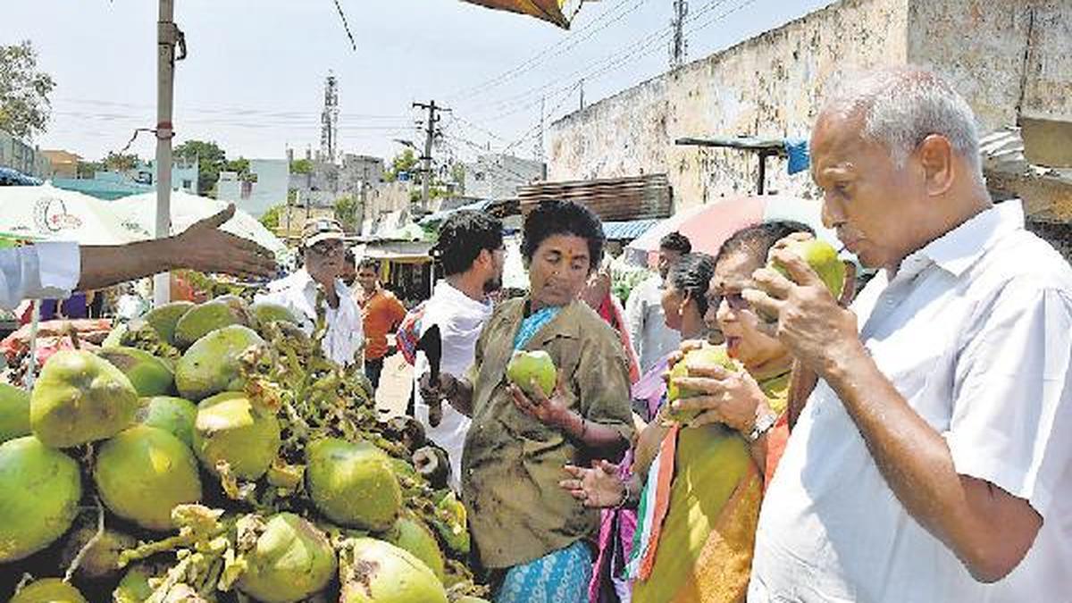 Tender coconut vendors make a cool killing The Hindu