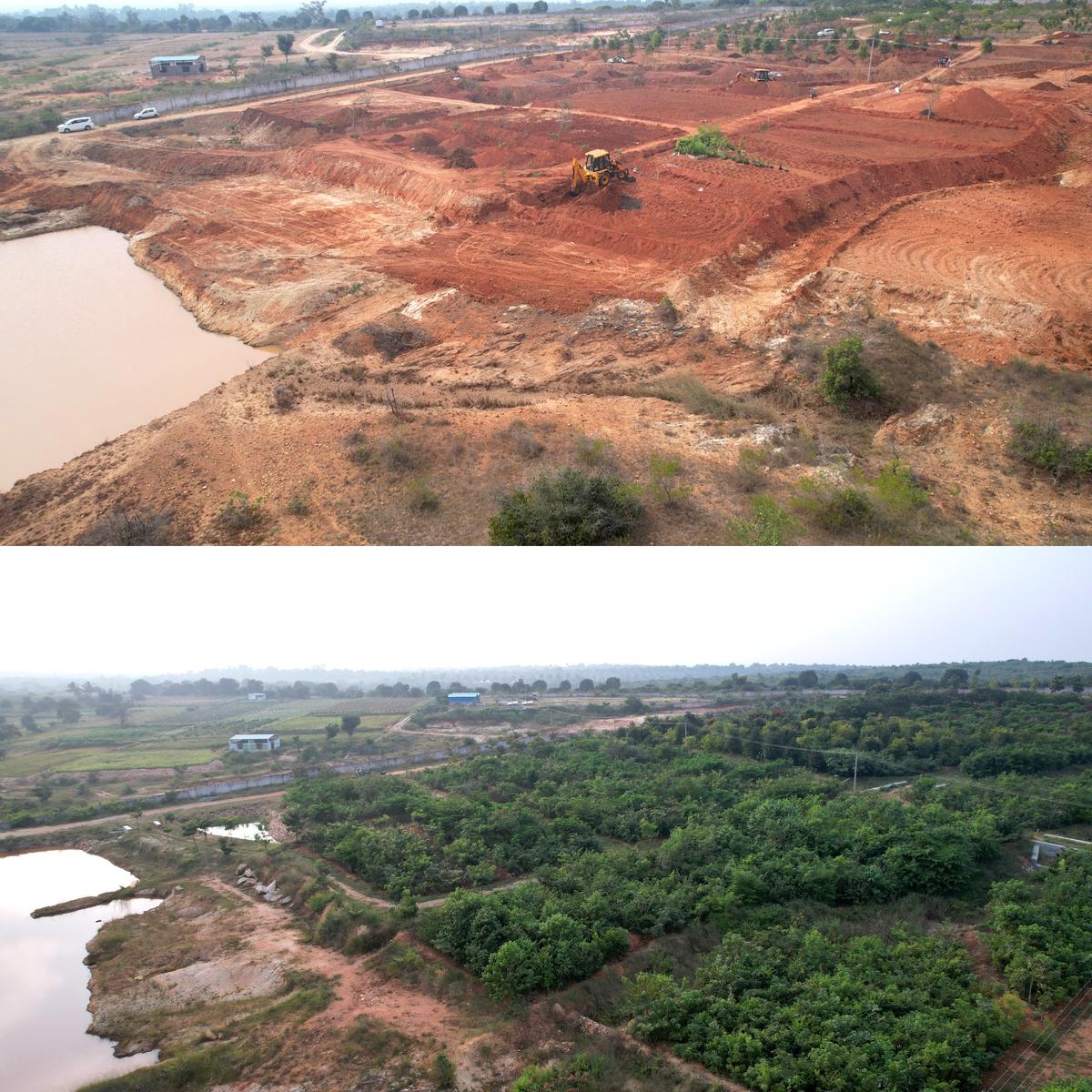 One of the biggest botanical gardens in India is coming up in Karnataka -  The Hindu