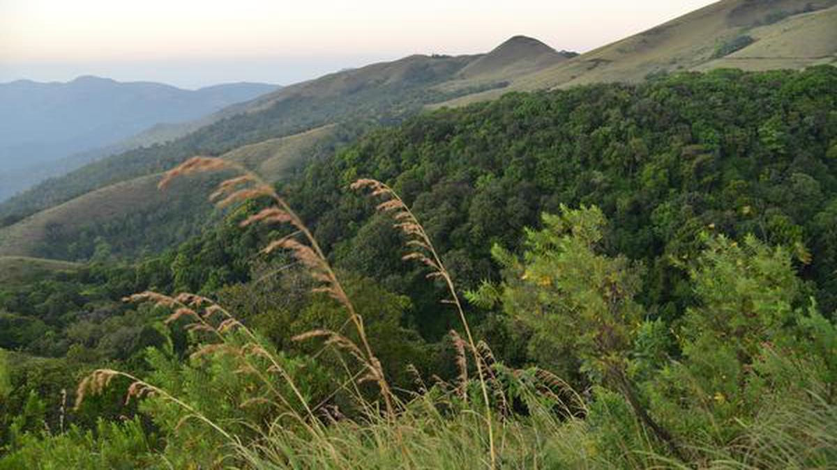 Suspended KAS officer arrested in Chikkamagaluru for illegal grant of forest land in Karnataka