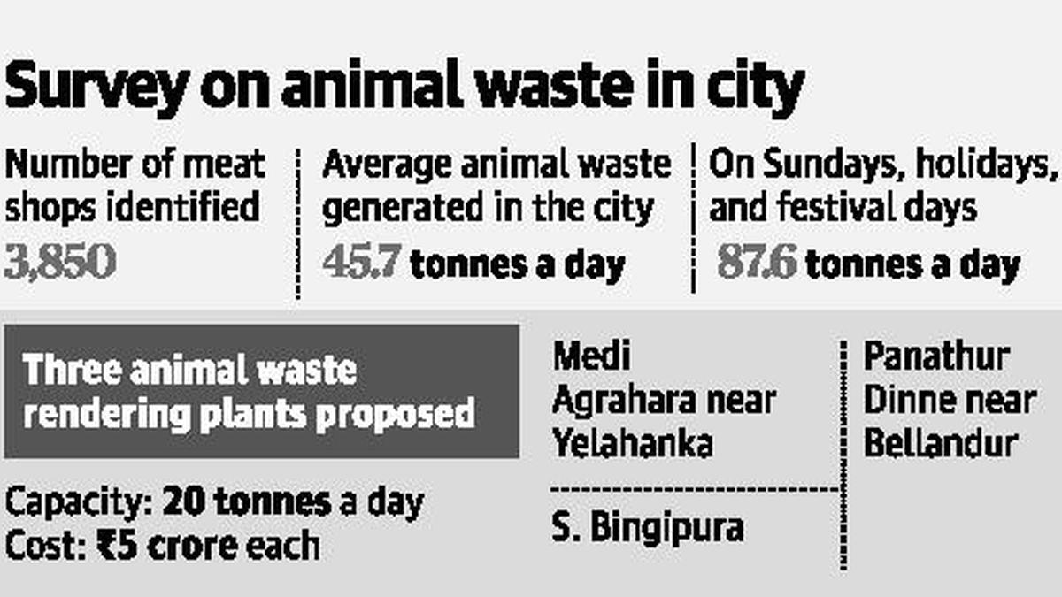Now, BBMP to introduce animal waste collection The Hindu