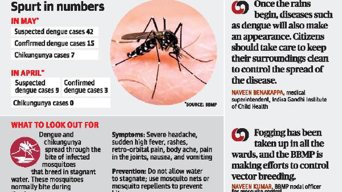 With rains here, vector-borne diseases are on the rise again in ...