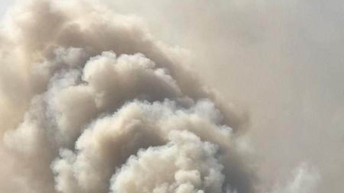 Bellandur lake catches fire, again The Hindu