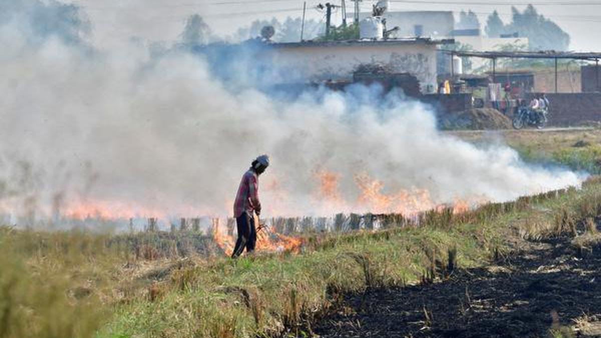 Tech company offers farmers alternative to burning stubble