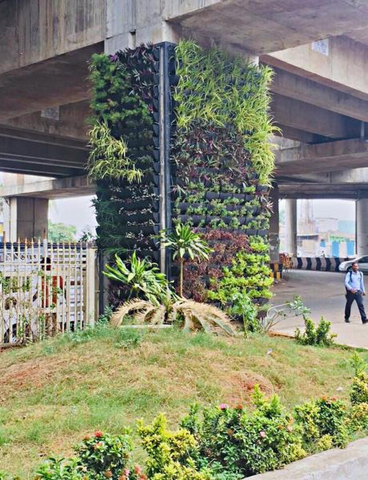 Vertical Garden In Bangalore Metro Fasci Garden