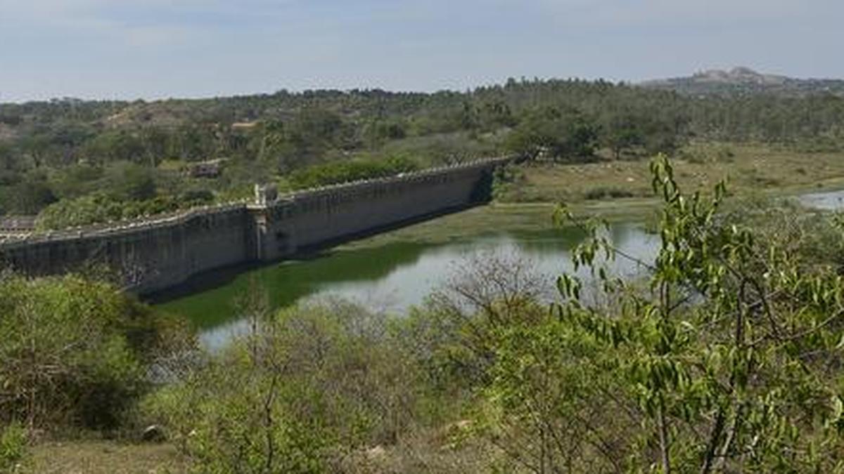 ‘Survey illegal construction in reservoir catchment buffer zone’ The Hindu