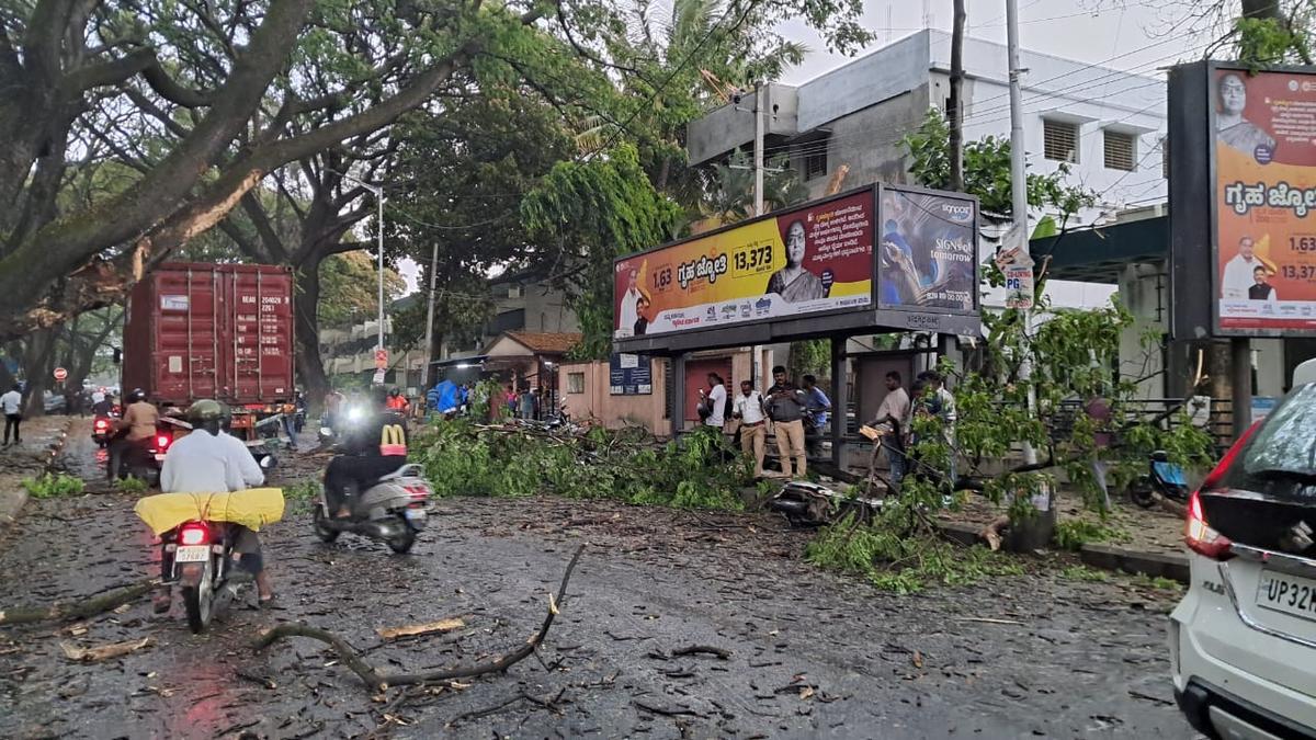 Rain saves life of motorist as tree falls on two-wheelers at Jeevan Bima Nagar in Bengaluru