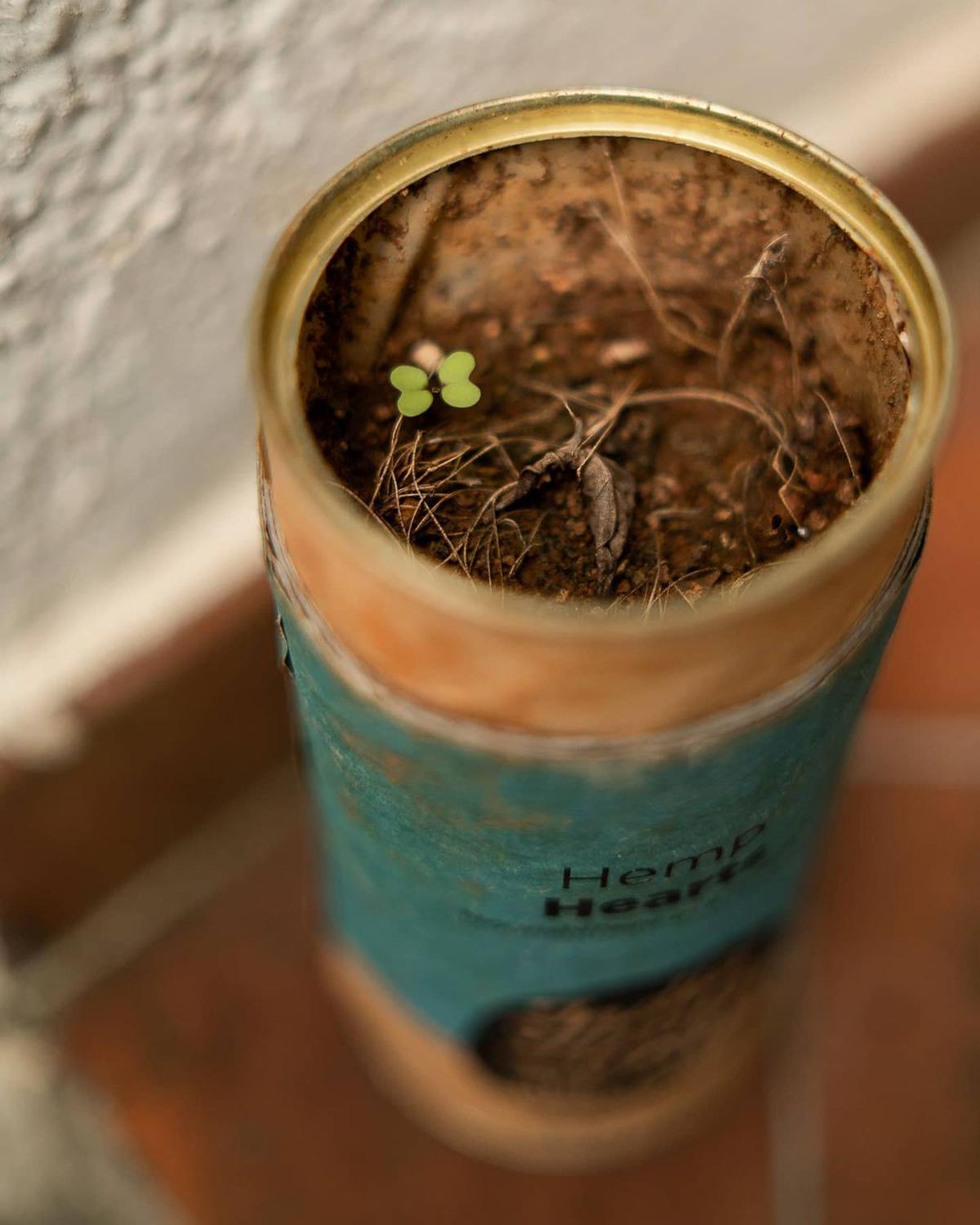 A repurposed canister