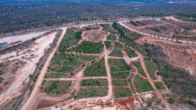 One of the biggest botanical gardens in India is coming up in Karnataka -  The Hindu