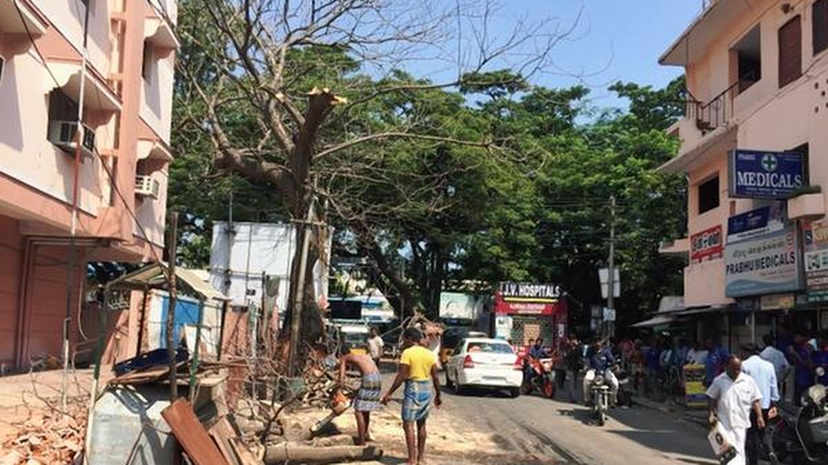 Tree axed to reduce traffic congestion near Kodambakkam railway station