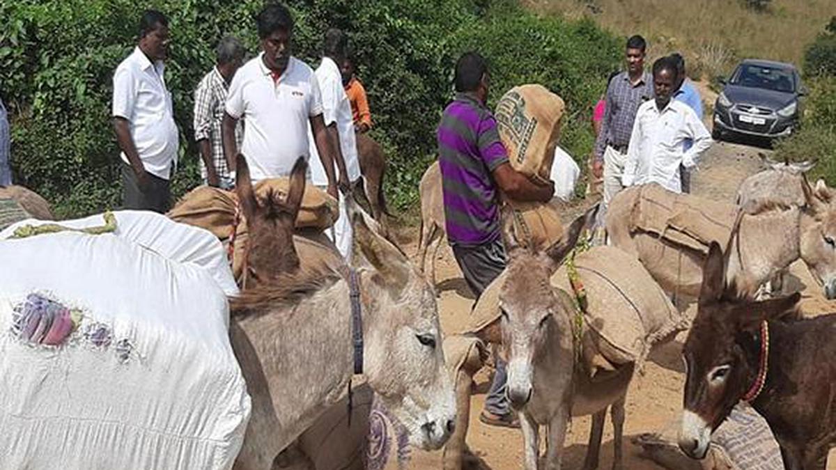 Officials to distribute Pongal gift hampers to Negnamalai cardholders ...