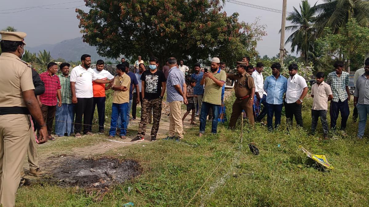 Six-foot Indian python burnt alive near Ambur town