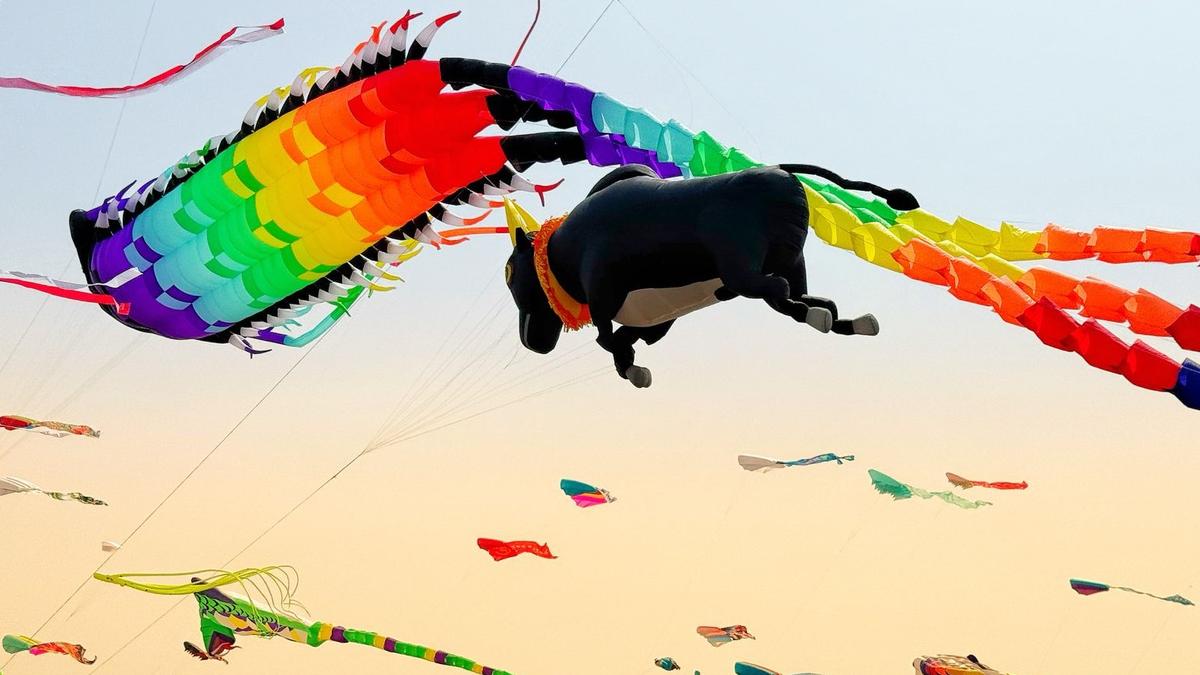 Team from T.N. participates in kite festival in Weifang, China