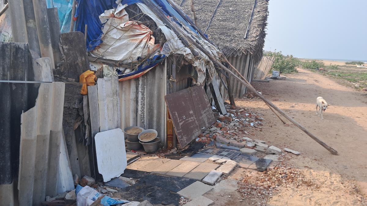 Reptiles, rodents, and debris make life difficult for Kalakshetra Colony residents