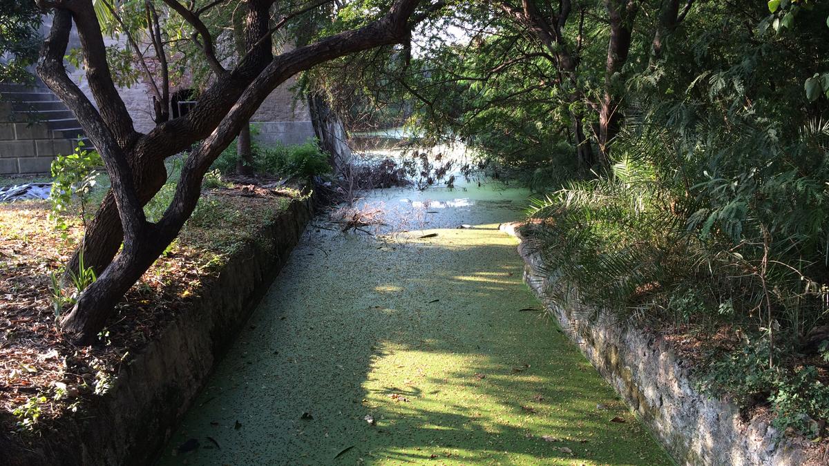 What Tamil Nadu CM Vijay really needs to see at Fort St. George