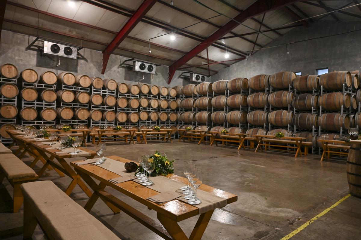 The barrel room in Sula Vineyards, Nashik where the wine is let to age.