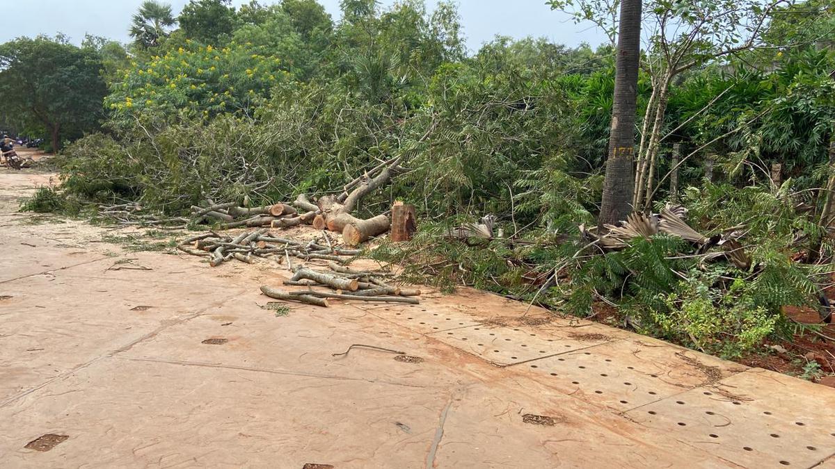 Clearing of trees for Auroville Crown Road project resumes amid protests by a section of residents