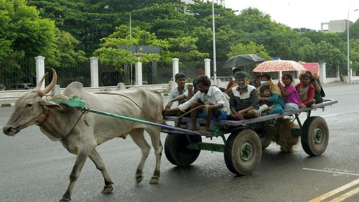 Regional Meteorological Centre identifies more sites in Chennai for automatic rain gauges The
