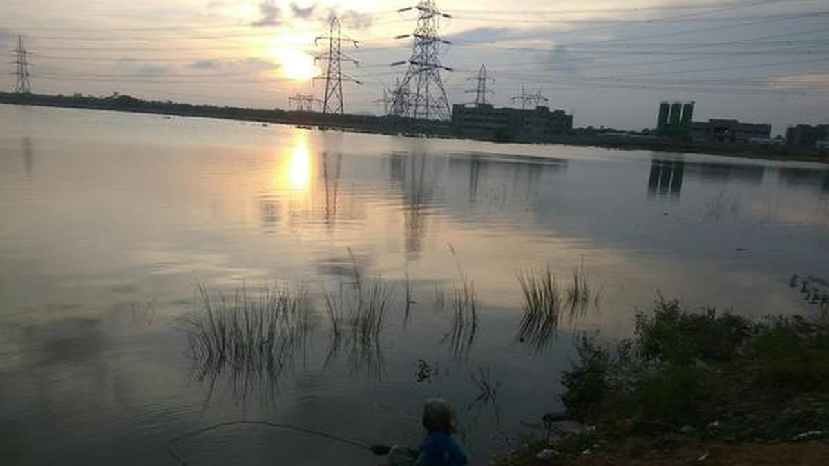 Serpentine journey The Hindu