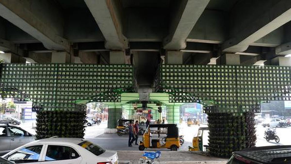 Vertical garden comes up at G.N. Chetty Road flyover The Hindu