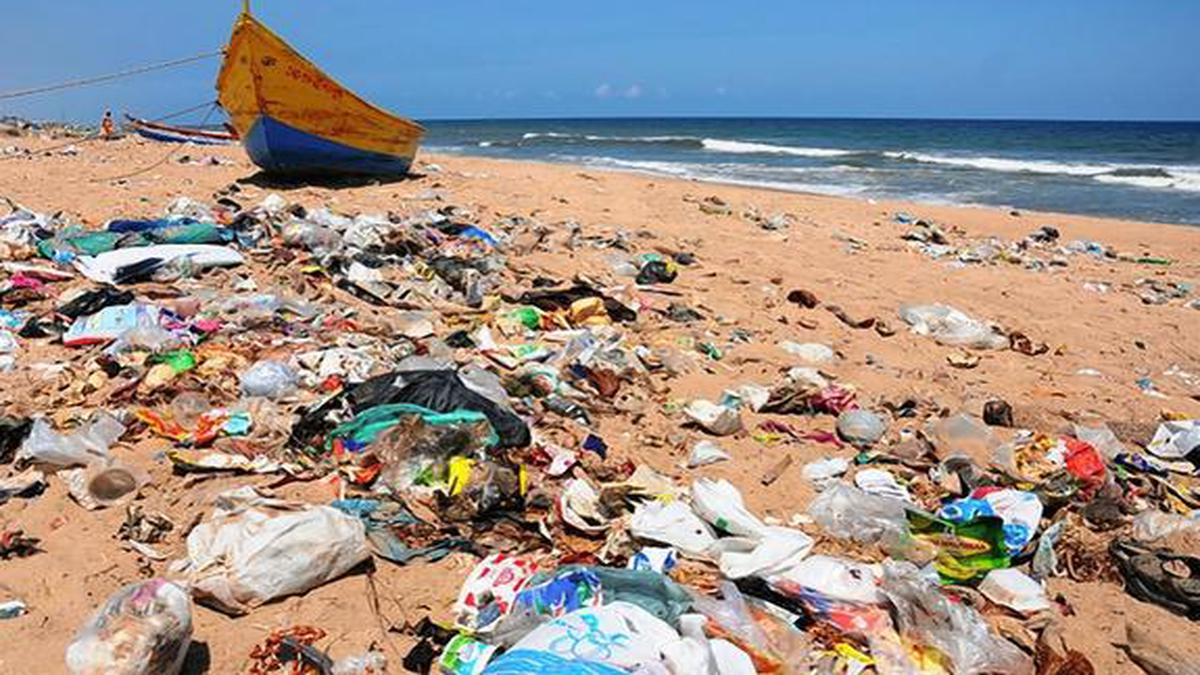 Tourists biggest polluters of beaches, finds survey, Plastics ...