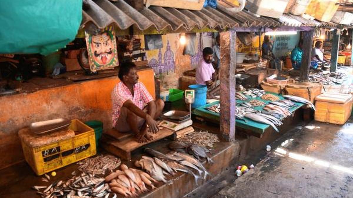 Modern fish market to come up in Tambaram The Hindu