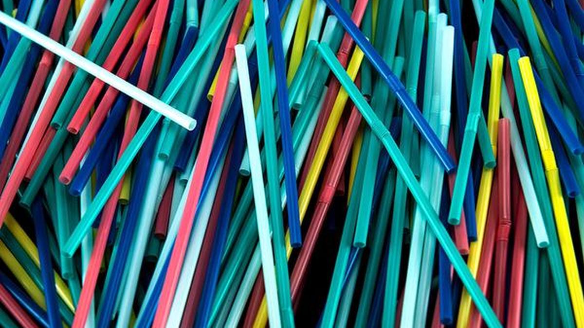 Straw wars at Sathyam Cinemas The Hindu