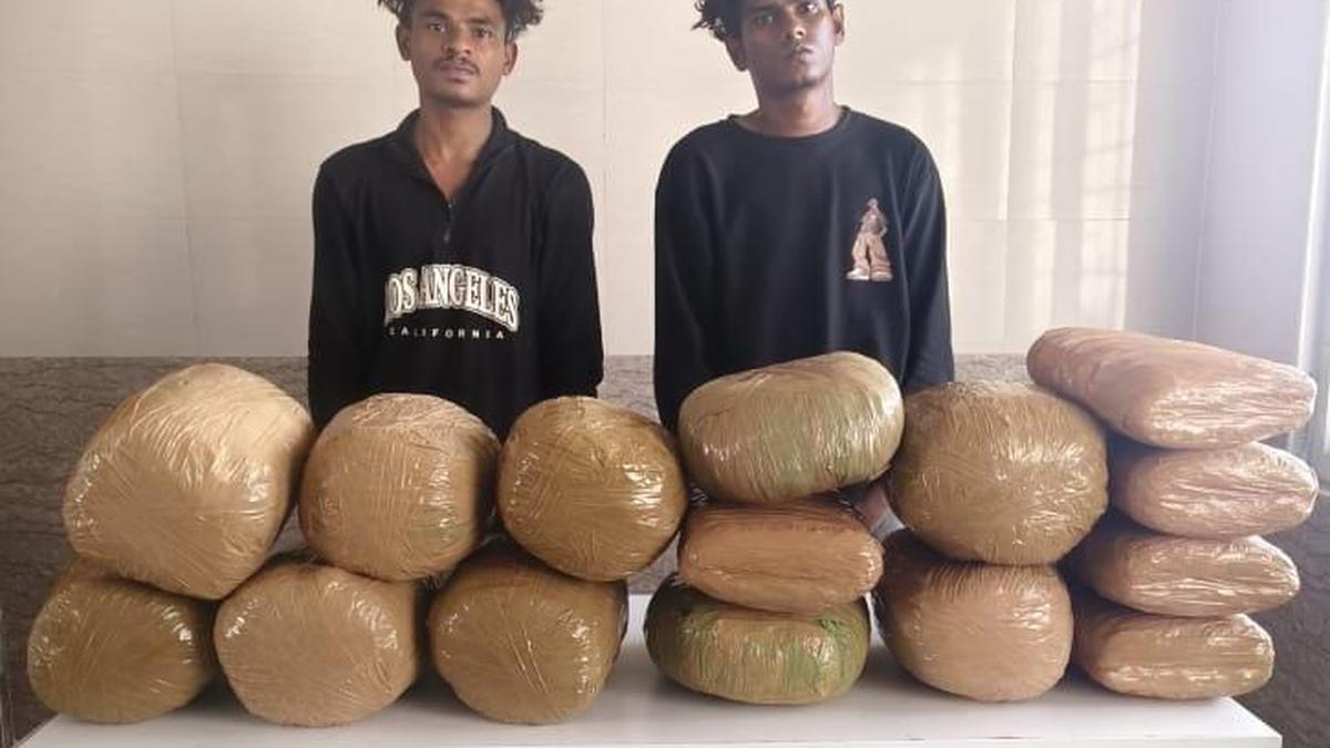 Three held for possession of ganja near Katpadi, Arakkonam railway stations