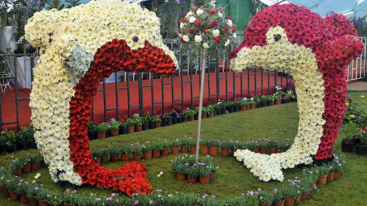 Three-day flower show to be held from February 9