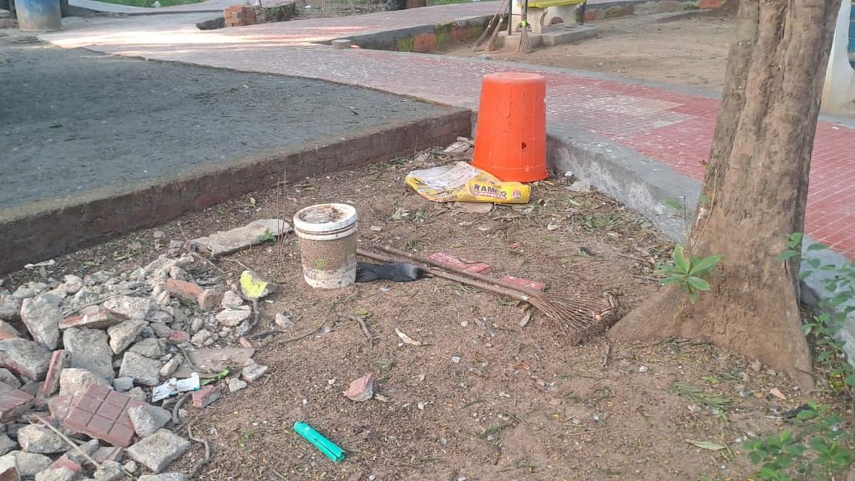 Post-mortem report details kidney, spleen damage in crows