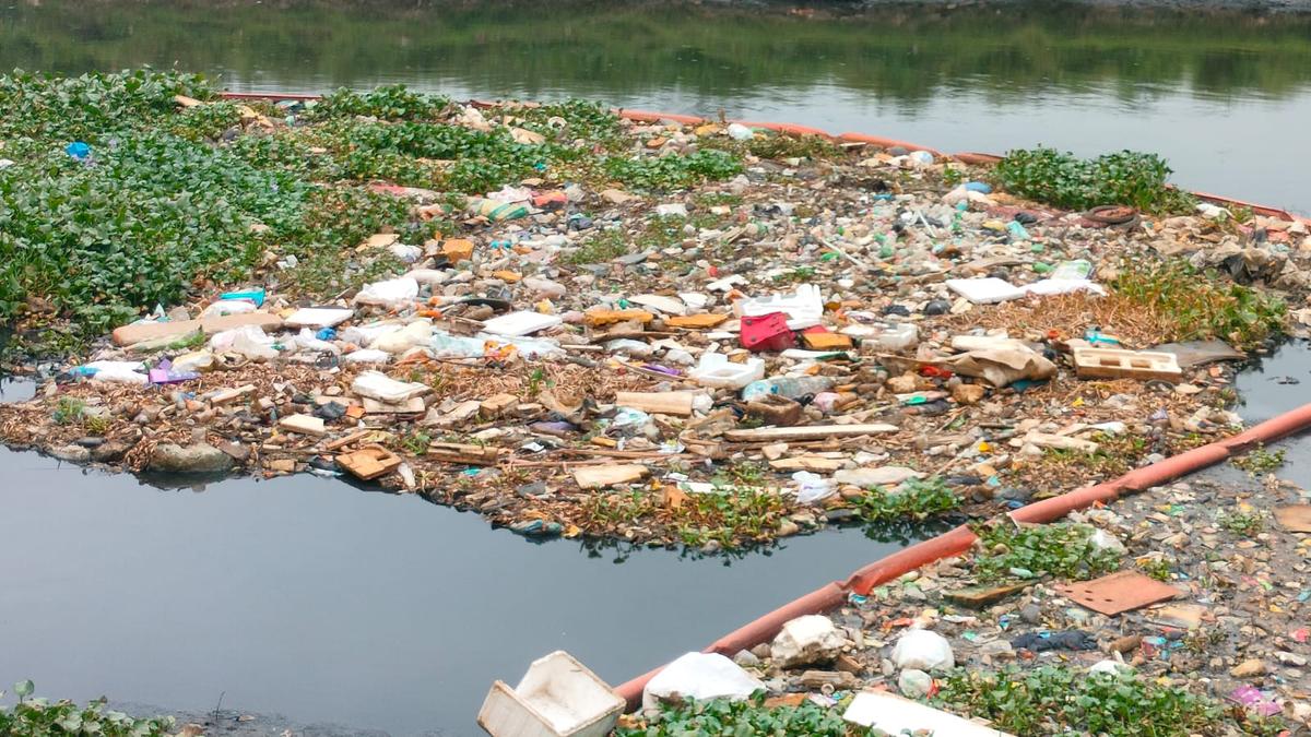 Chennai’s waterbodies marred by open dumping