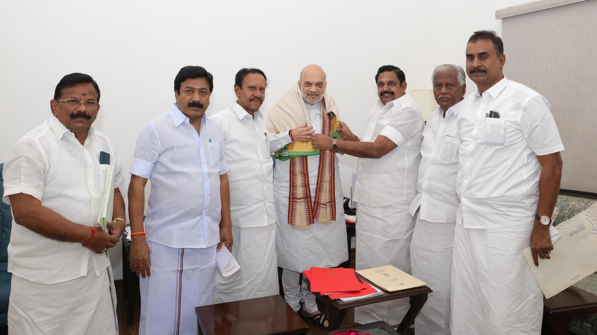 Edappadi Palaniswami meets Amit Shah, sparks buzz on BJP-AIADMK alliance -  The Hindu