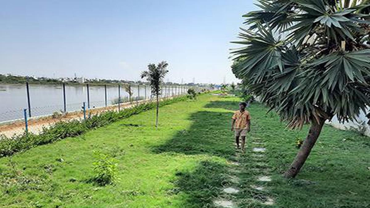 Korattur lake eco-park will be opened today - The Hindu