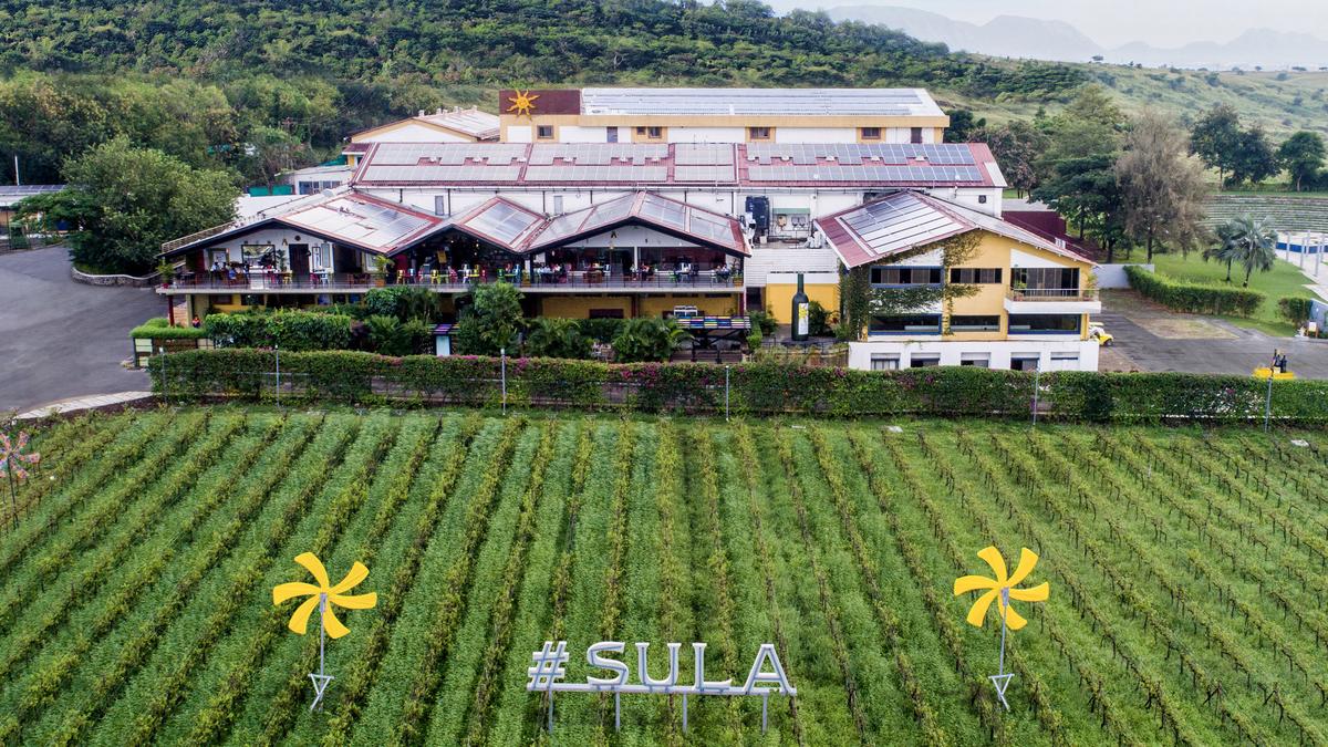 Sula Vineyards celebrates 25 years with new Merlot and a focus on sustainability