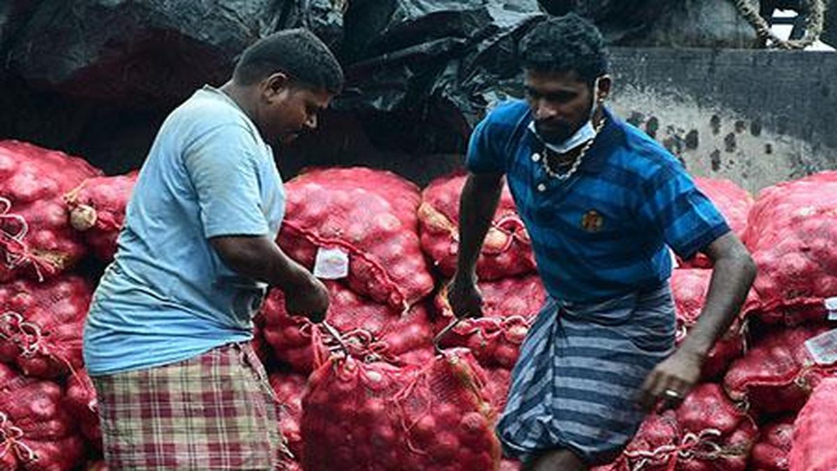 Data Onion costs hit ₹100 as supply to markets dip The Hindu