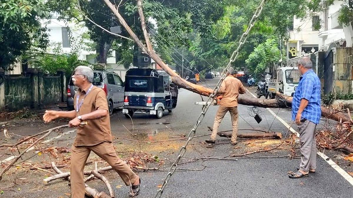 Rain uproots four trees in Greater Chennai Corporation limits