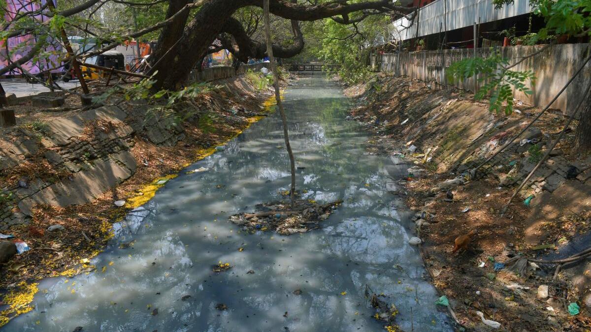 Residents in several parts of Puducherry complain of mosquito menace