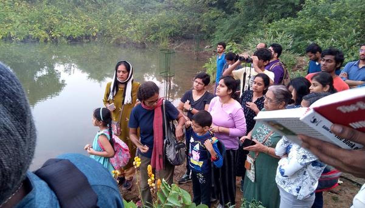 Know the birds in your backyard