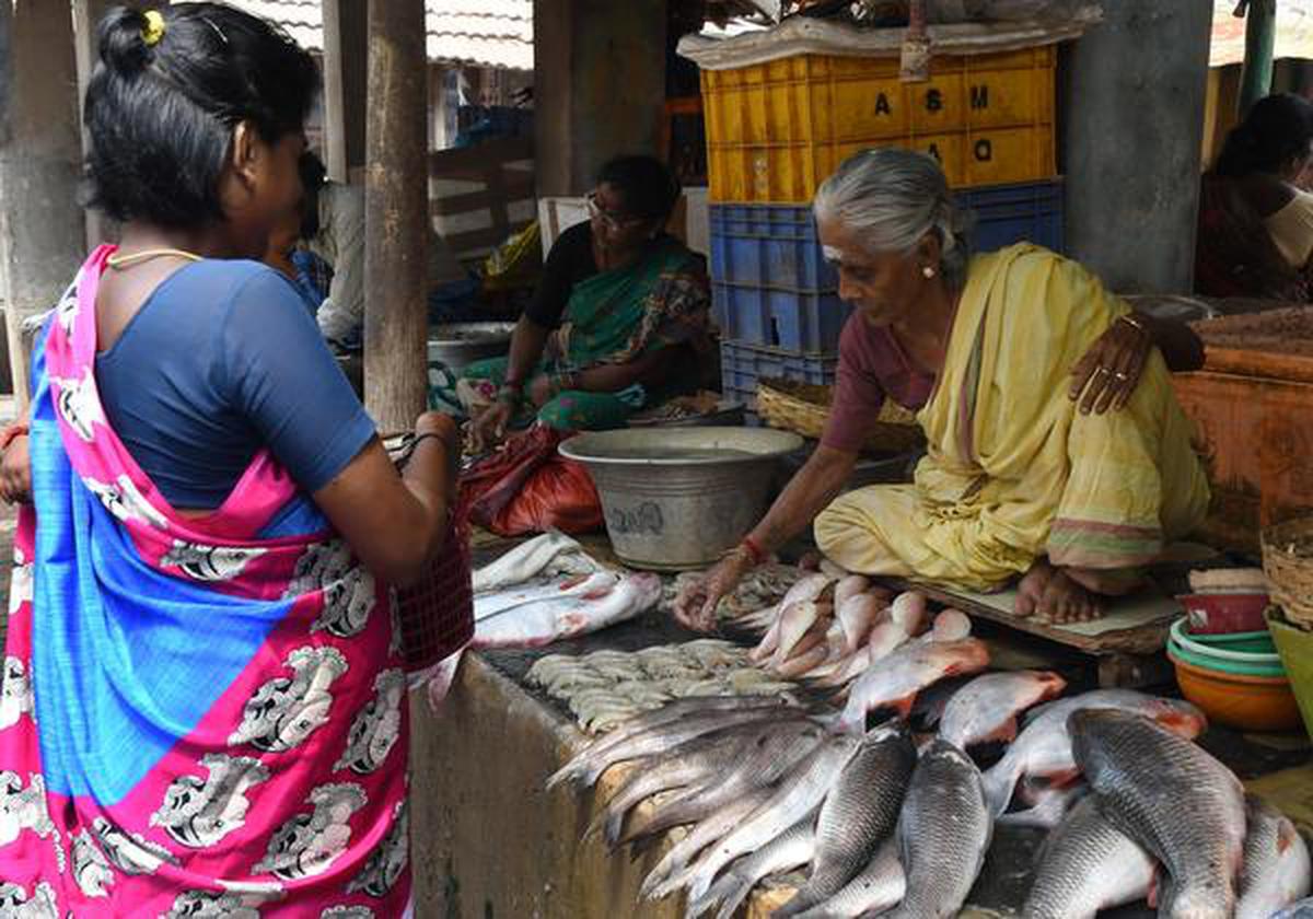 With ban in place, fish prices head north - The Hindu