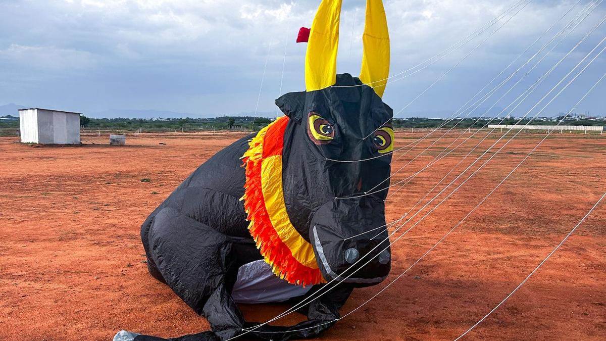 Get ready to glimpse at the bull in the sky this kite festival