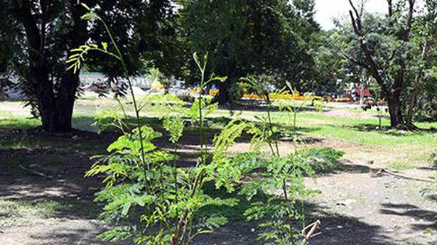 Restore Shenoy Nagar park to its old glory within a year, HC directs CMRL