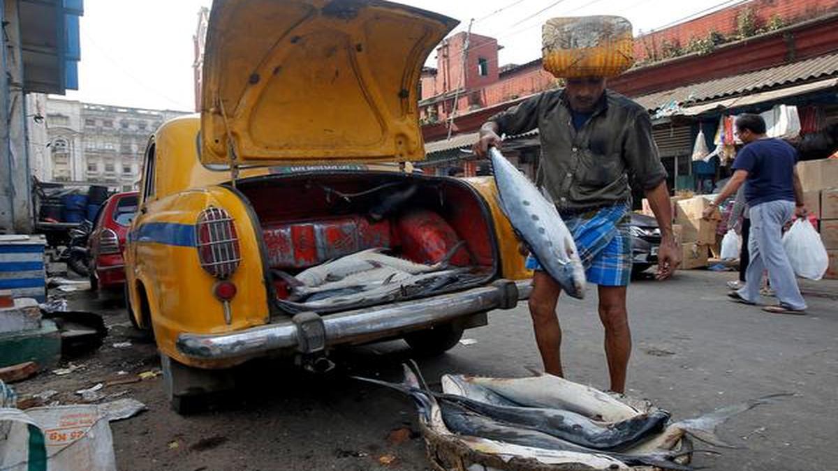 Online fish sale gets momentum in Bengal The Hindu