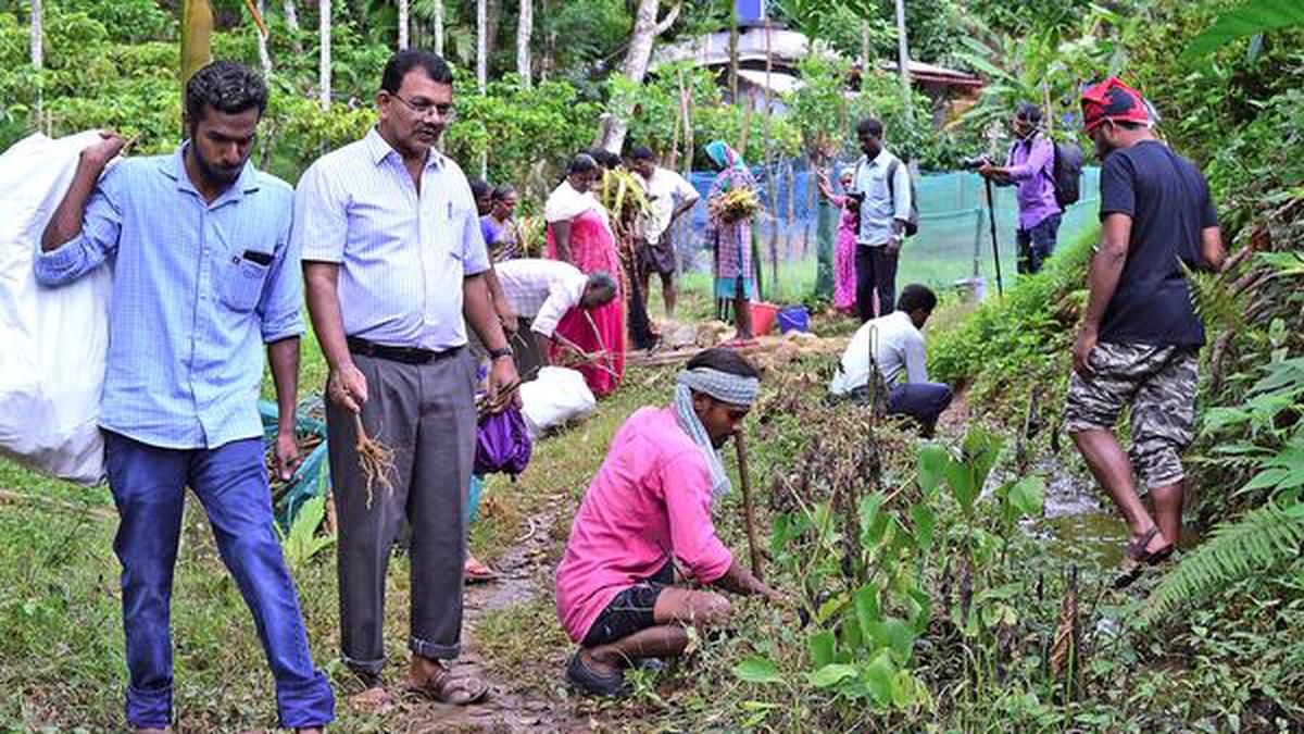 Project to restore a river - The Hindu