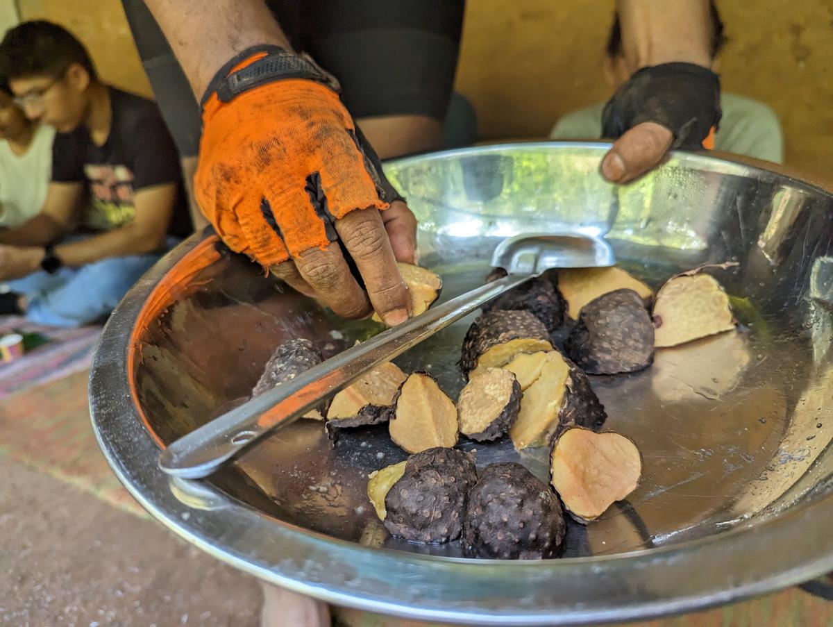 Boiled karanda is a tuber species that is one of oldest foods in the Indian sub-continent that was a staple way before the Portuguese brought potatoes.