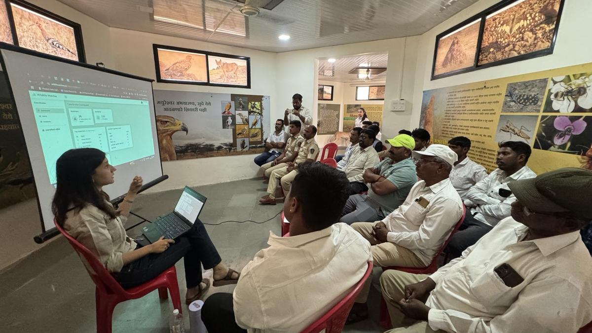 Grassroots initiative in Pune district records over 350 wildlife sightings in six months
