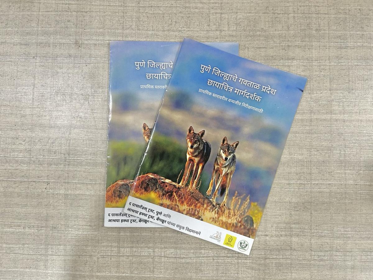 A field guide developed by The Grassland Trust in Marathi language for the residents to learn about the wildlife species in their respective region. A field guide developed by The Grassland Trust in Marathi language for the residents to learn about the wildlife species in their respective region.