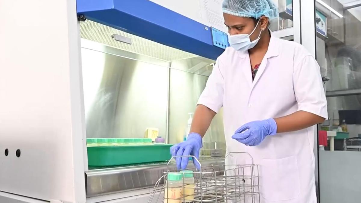 Breast milk donation saves over 10,000 newborns in western India  