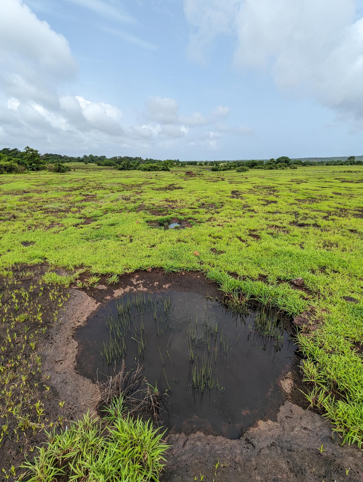 A rock pool in Devihasol village of Rajapur taluka in Ratnagiri, Maharashtra. A rock pool in Devihasol village of Rajapur taluka in Ratnagiri, Maharashtra.