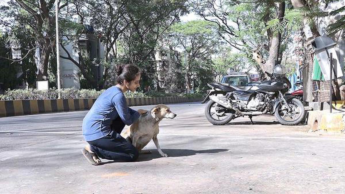 NGOs, Police join hands to fight cruelty to animals in Coimbatore